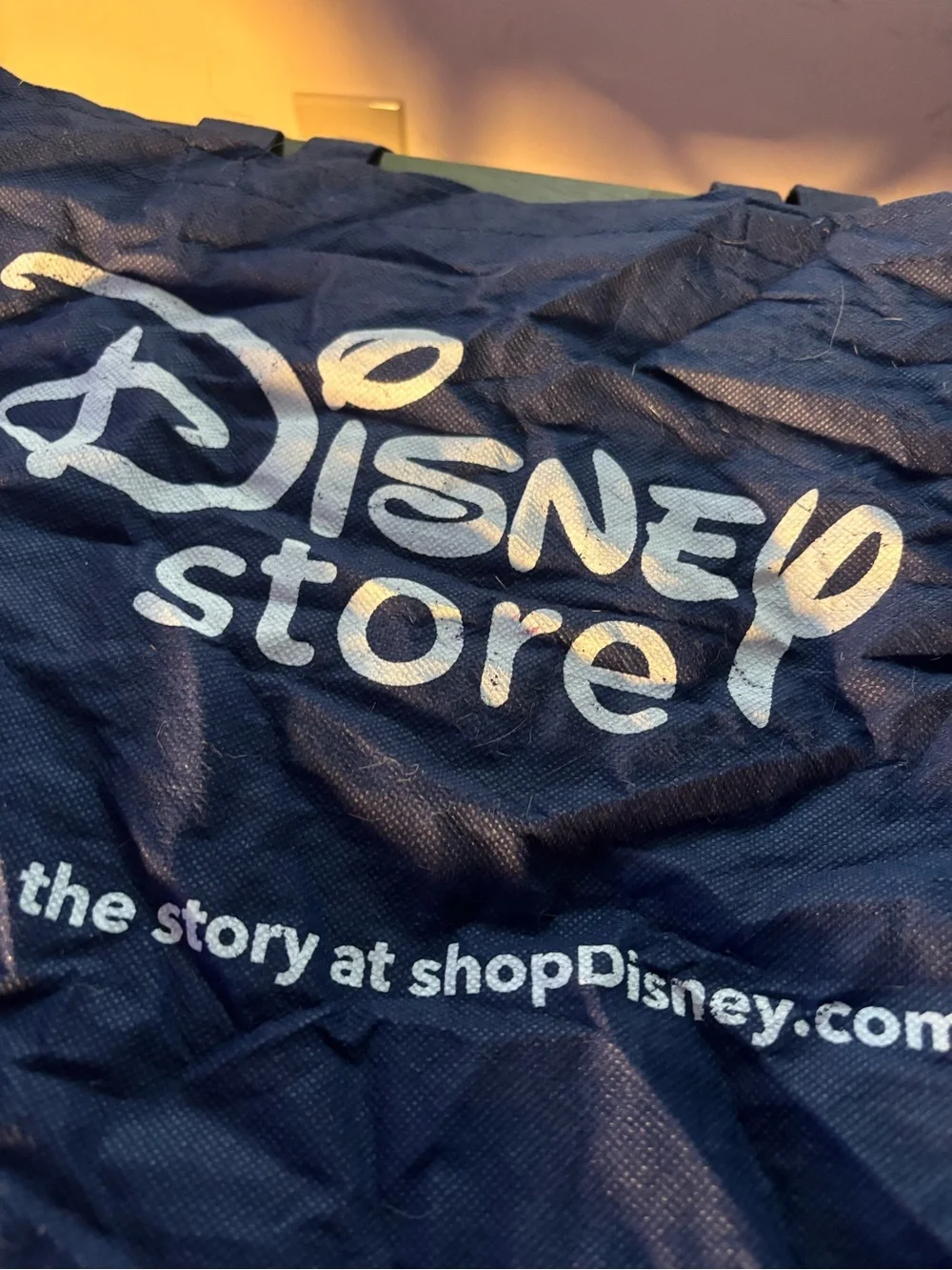 Disney official parks